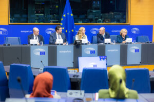 Lukas Mandl and Davor Stier hosting a discussion on Iran (16.09.2024)